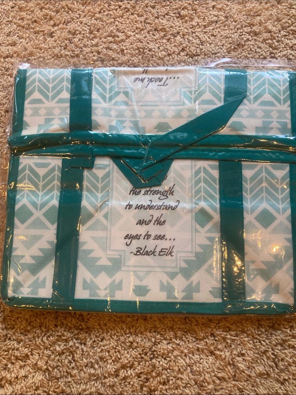Source Unknown Teal and White Patterned Storage Tote